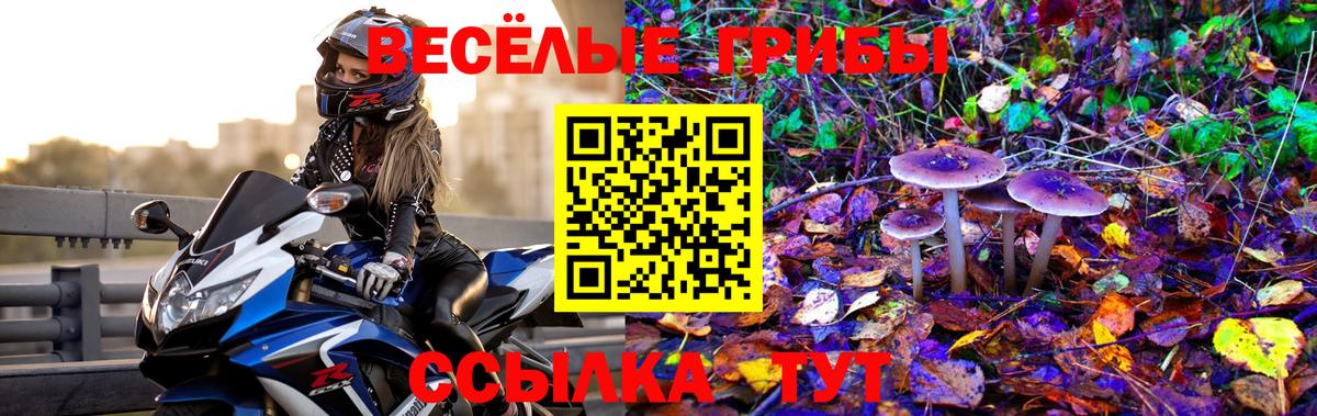 Псилоцибиновые грибы мицелий Кимовск